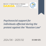 Psychosocial support for individuals affected during the protest against the "Russian Law"